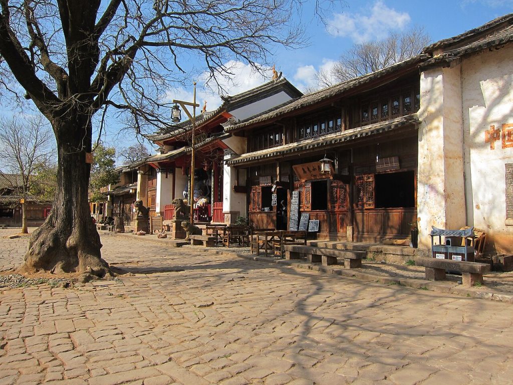 An old tree and timber shopfronts on a village street in Shaxi