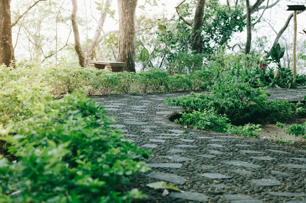 Stone path through a green park