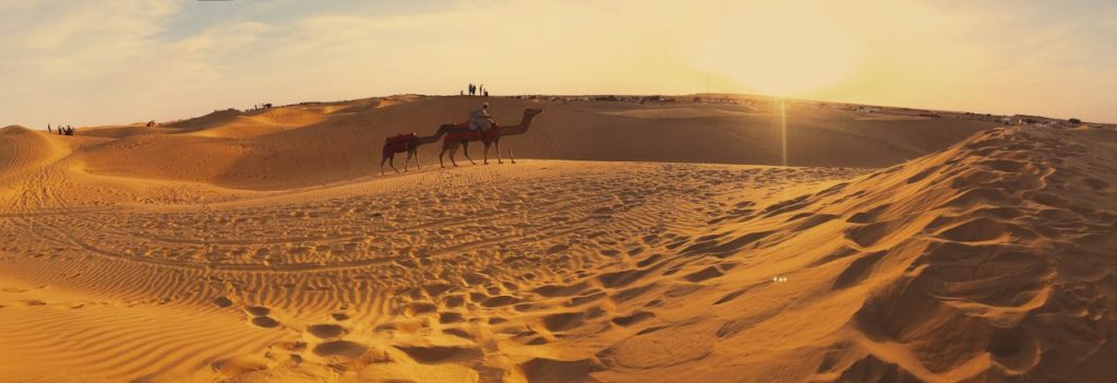 Golden sand dunes of the Thar Desert at sunset