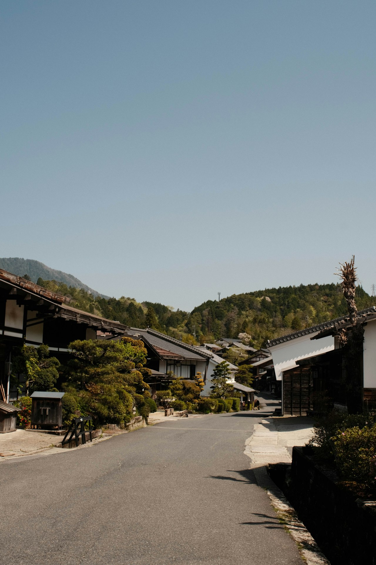 Village street with forested mountains behind