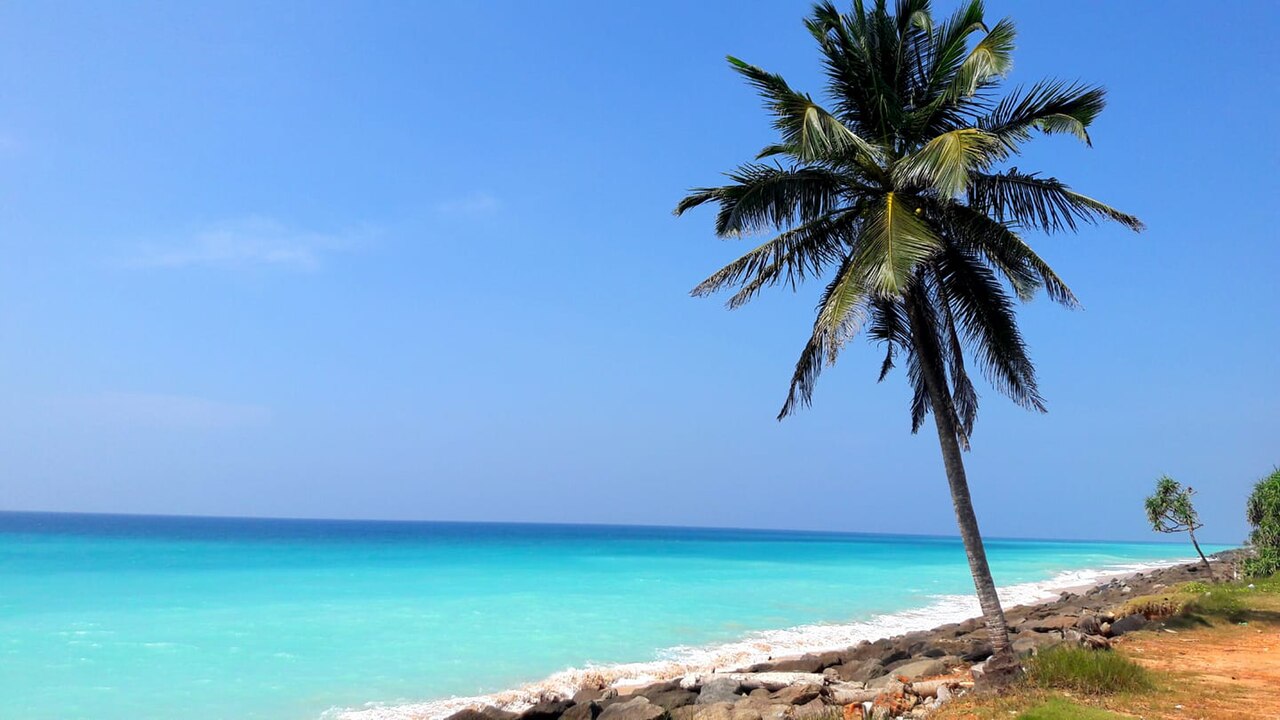 Palm trees and golden sand at Unawatuna Beach