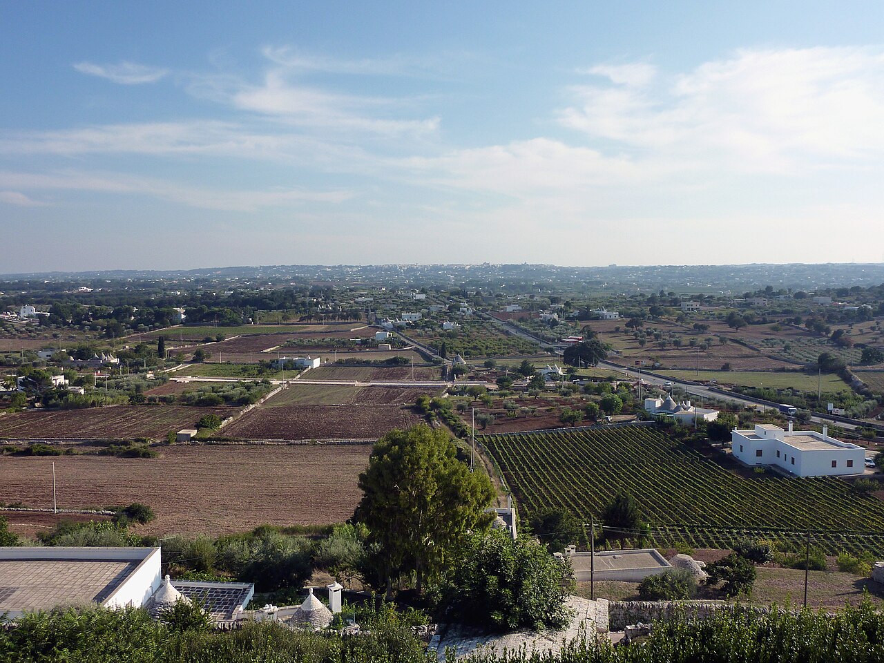 White town of Locorotondo above the green Itria Valley