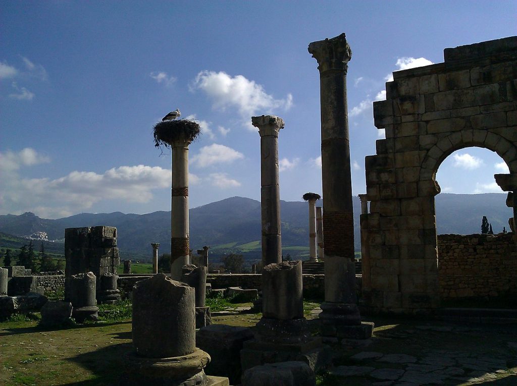 Storks nesting on ancient columns at Volubilis