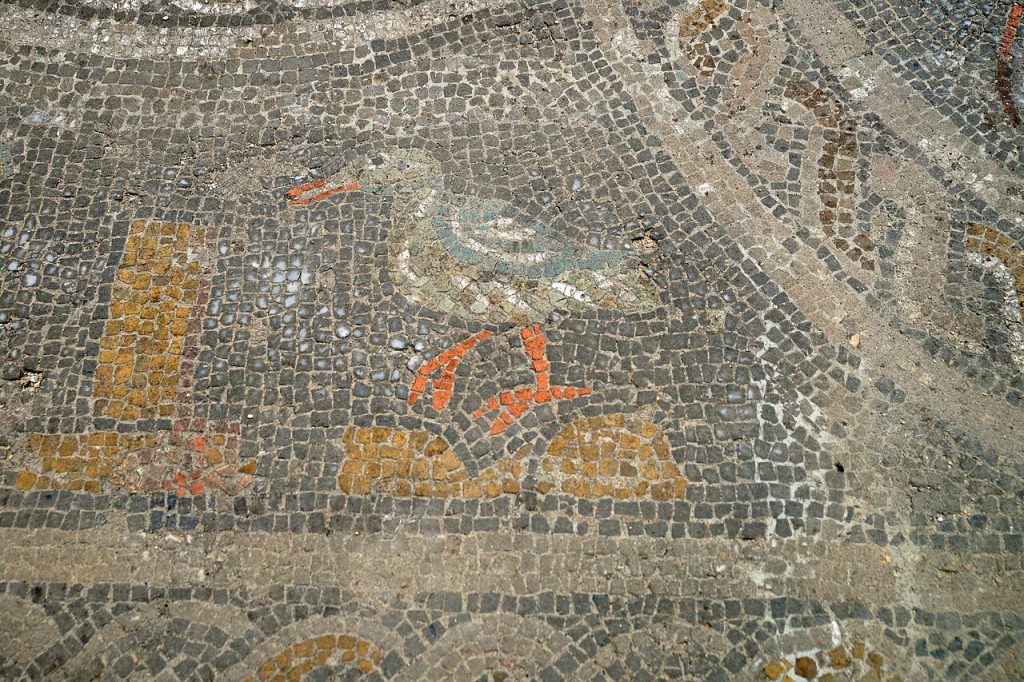 A Roman floor mosaic at Volubilis