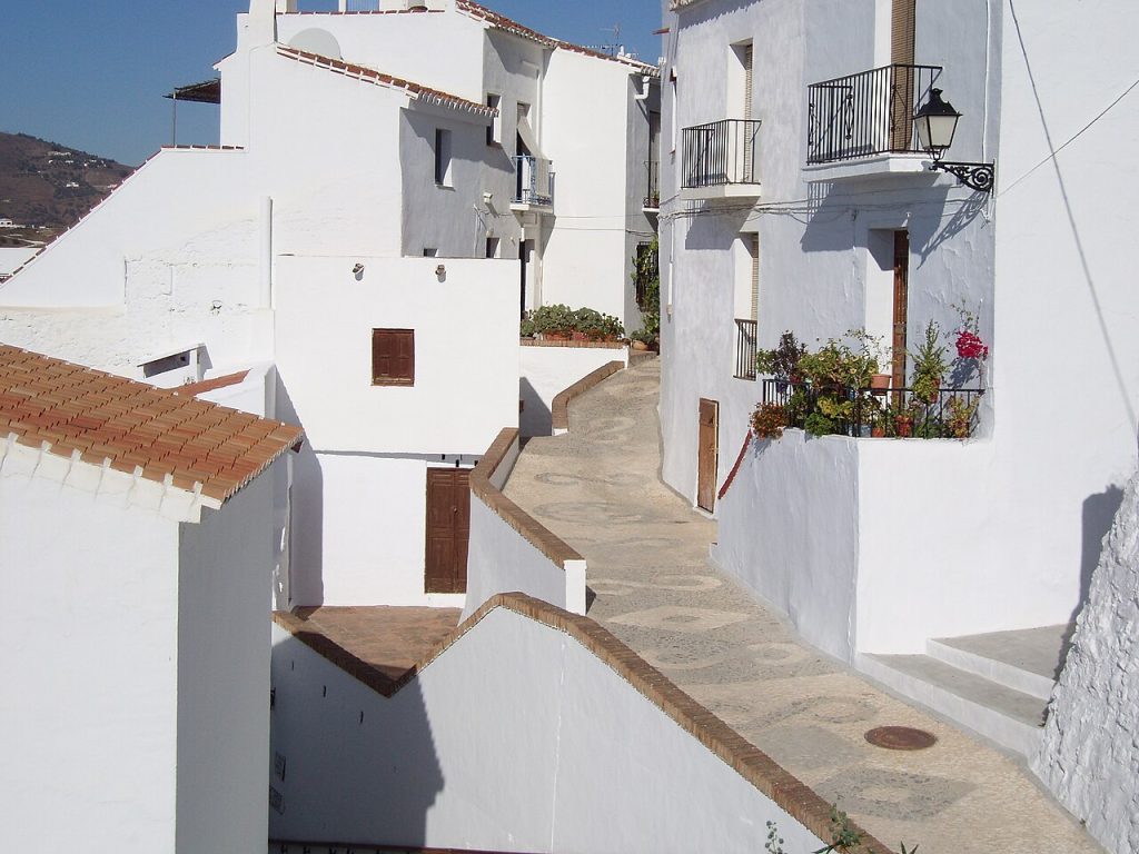 A whitewashed lane with flower pots and terracotta roofs