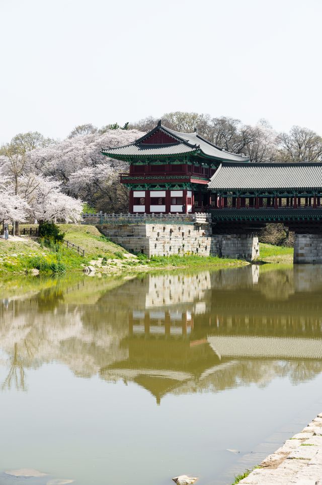 Historic pavilion reflected in calm water in Gyeongju South Korea