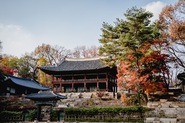 Traditional Korean palace in Seoul, South Korea surrounded by autumn trees