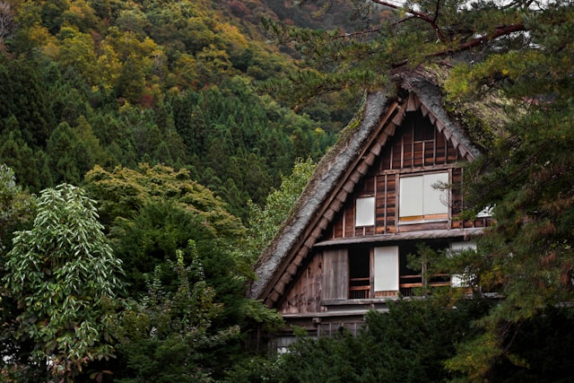 Traditional gassho-zukuri thatched house in Shirakawa-go, Japan surrounded by forest